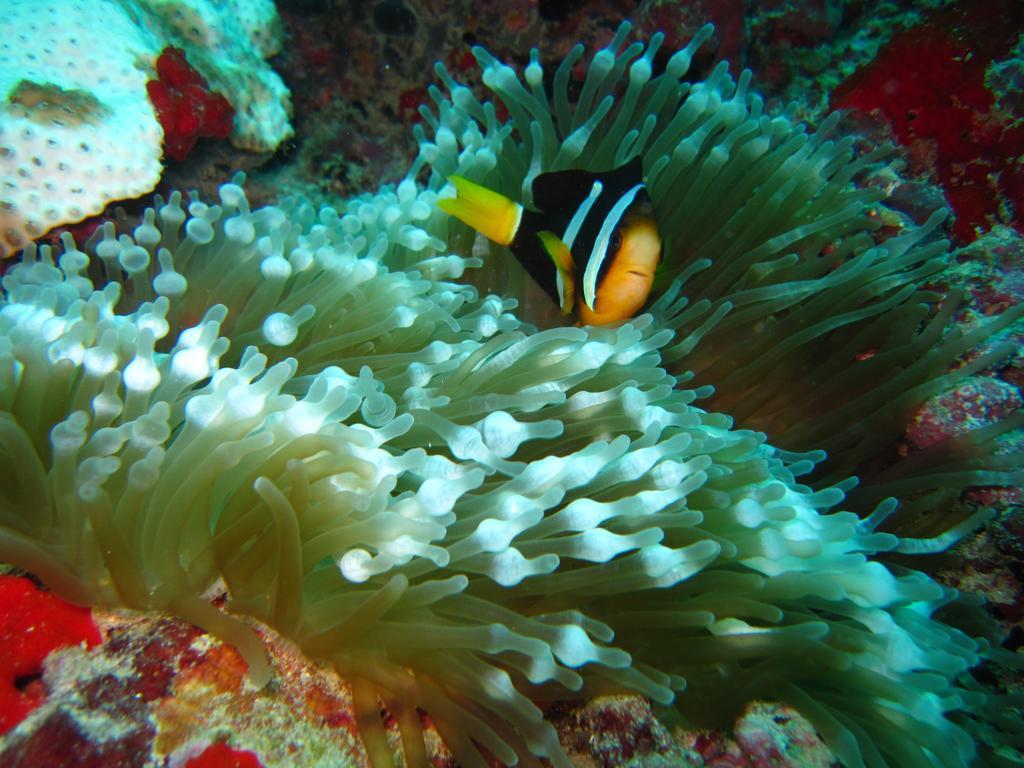 Marinabayvilla-Himandhoo Buitenkant foto