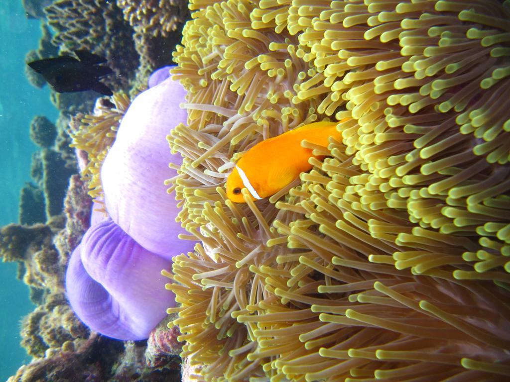 Marinabayvilla-Himandhoo Buitenkant foto