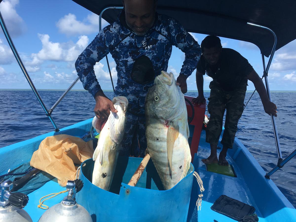 Marinabayvilla-Himandhoo Buitenkant foto